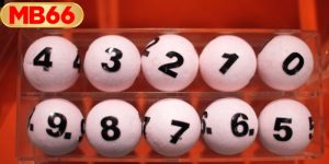 แทงหวยไทยบน MB66: คู่มือและอัตราจ่ายล่าสุดปี 2025